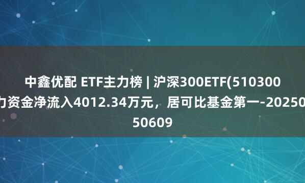 中鑫优配 ETF主力榜 | 沪深300ETF(510300)主力资金净流入4012.34万元，居可比基金第一-20250609