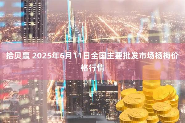 拾贝赢 2025年6月11日全国主要批发市场杨梅价格行情