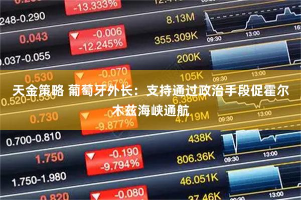 天金策略 葡萄牙外长：支持通过政治手段促霍尔木兹海峡通航